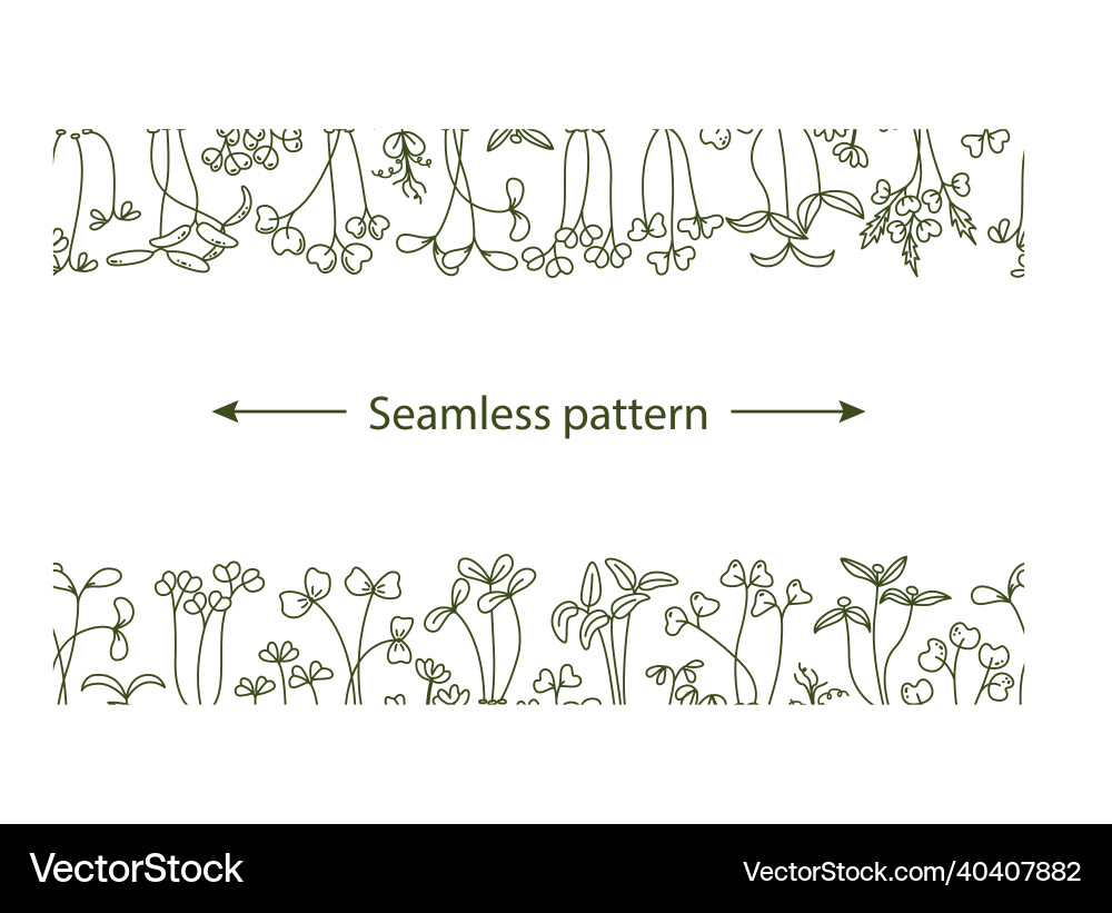 Microgreen Pattern - Fresh Seedlings vector image