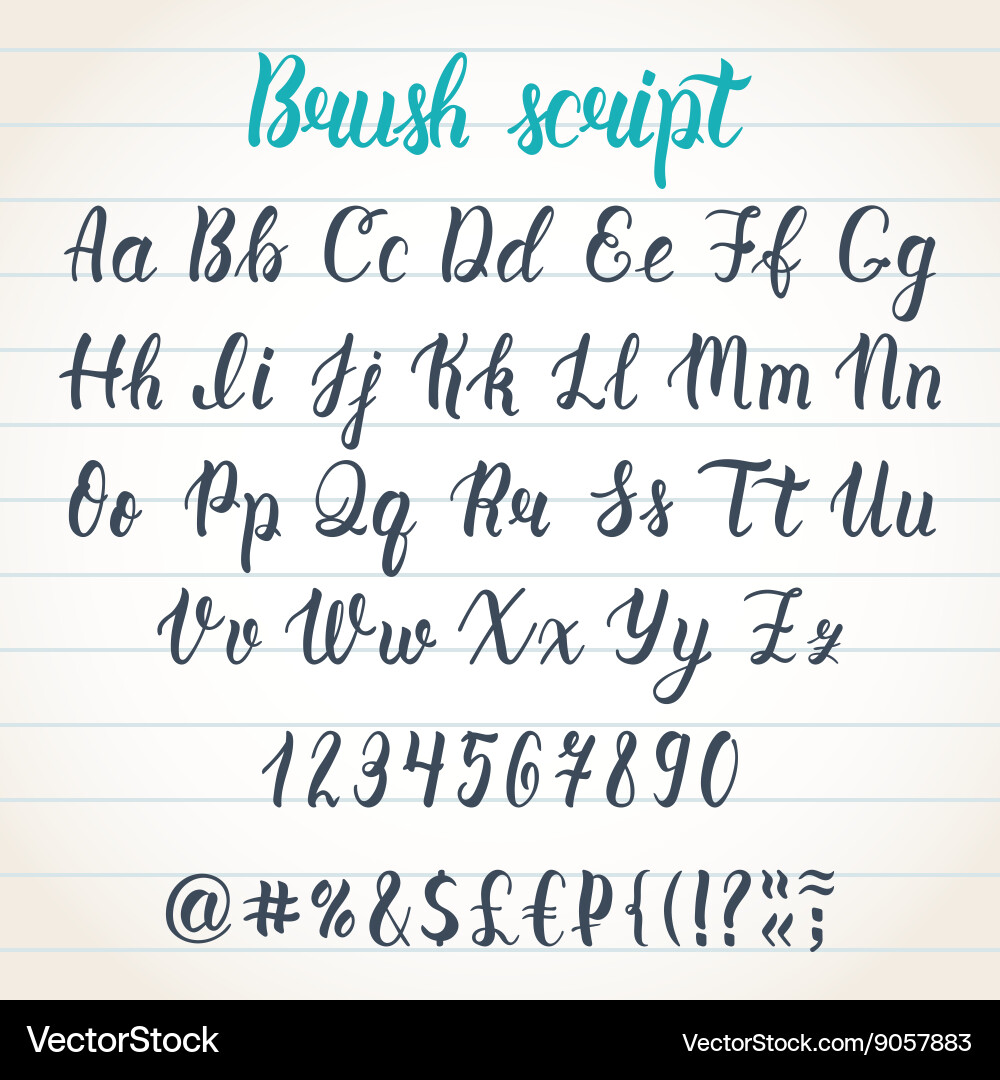 Calligraphic Latin Script with Numbers & Symbols vector image