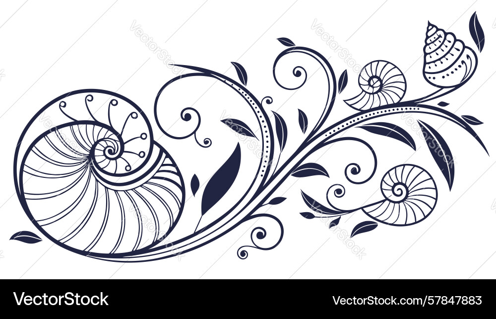 Elegant ornamental scrollwork with nautilus shell Vector Image