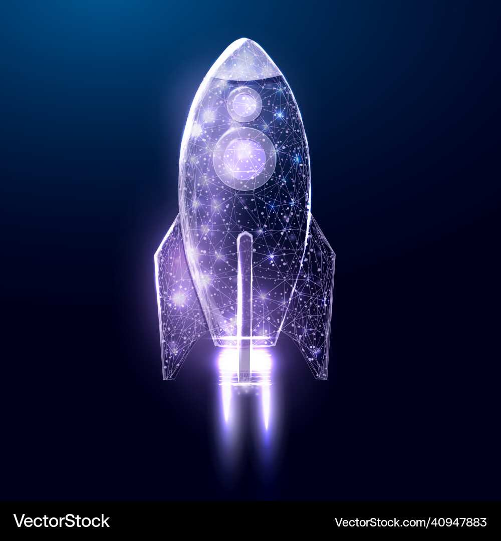 Wireframe polygonal rocket internet technology Wireframe polygonal rocket internet technology vector image