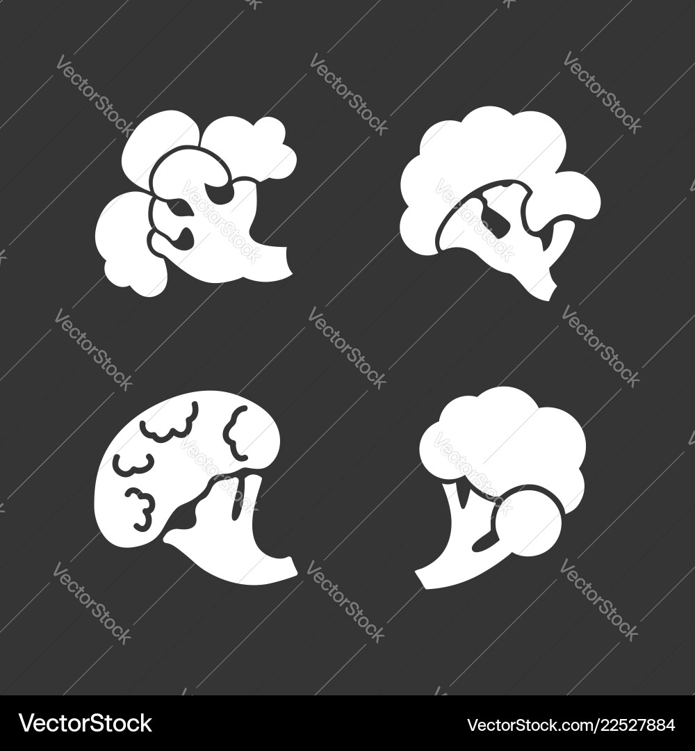Broccoli icon set simple style Broccoli icon set simple style vector image