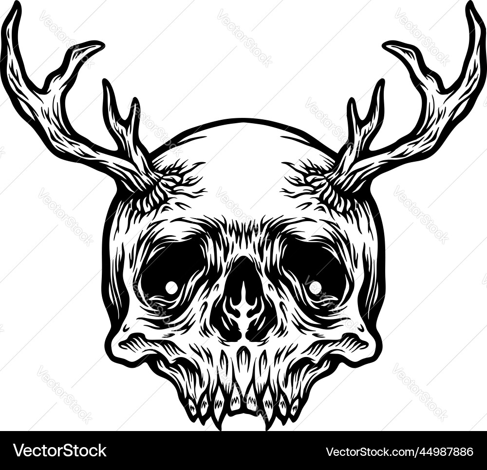 Deer Skull with Horns vector image