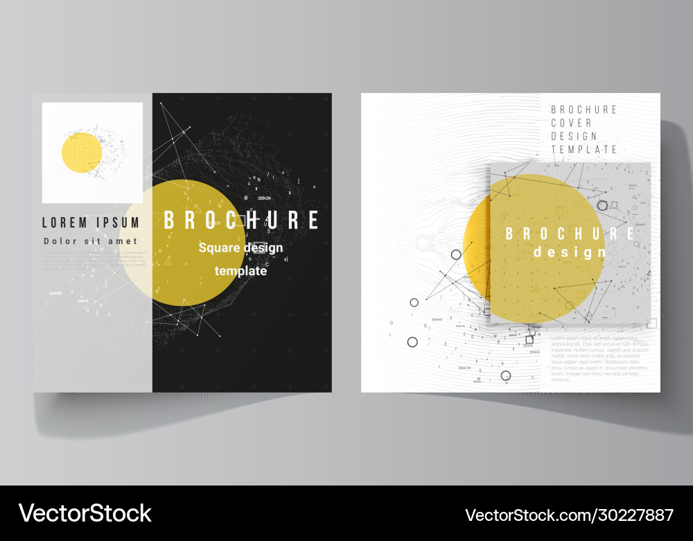 Layout two square format Layout two square format vector image