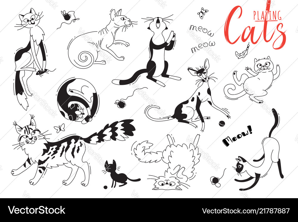 Set with playing cats of different breeds vector image