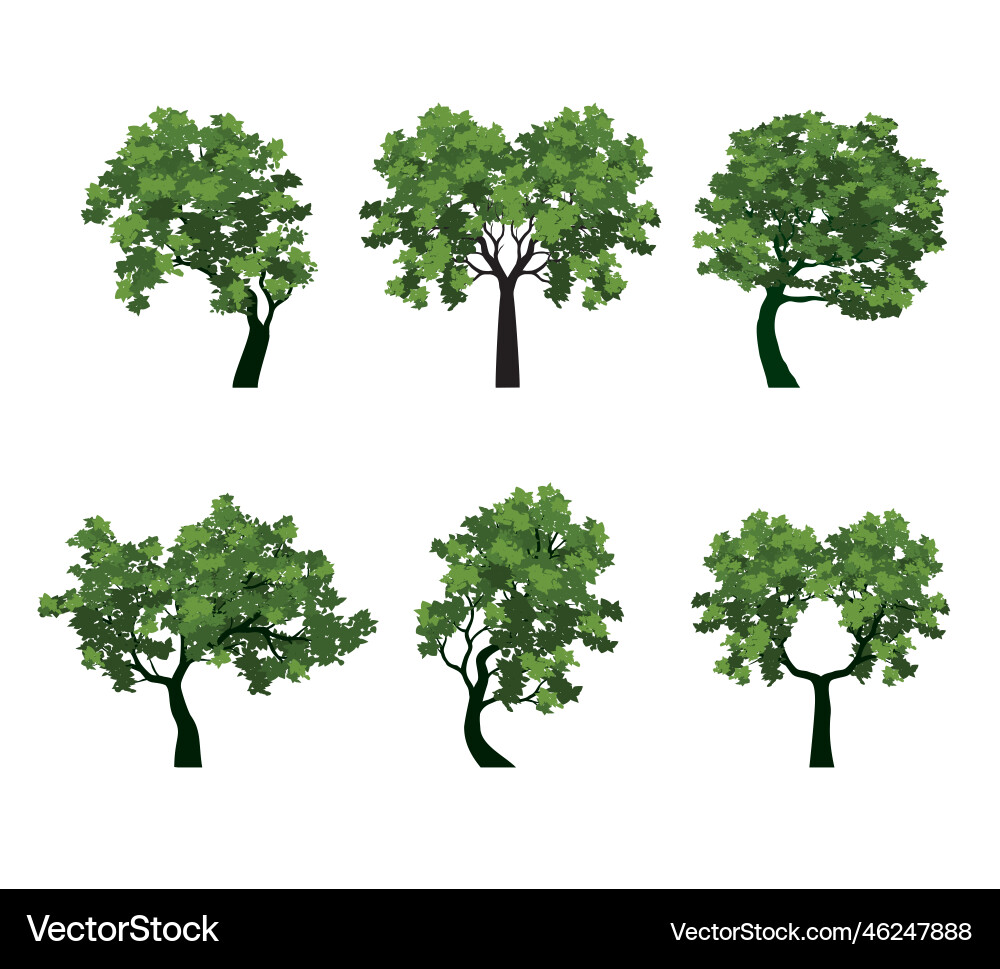Spring Tree Collection vector image