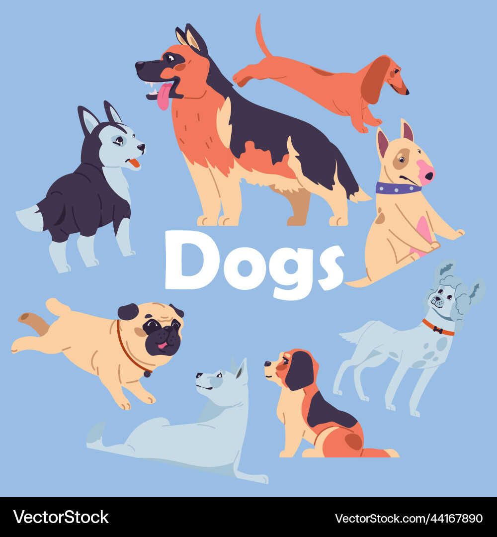 Dog owners canine purebred breeds domestic Dog owners canine purebred breeds domestic vector image