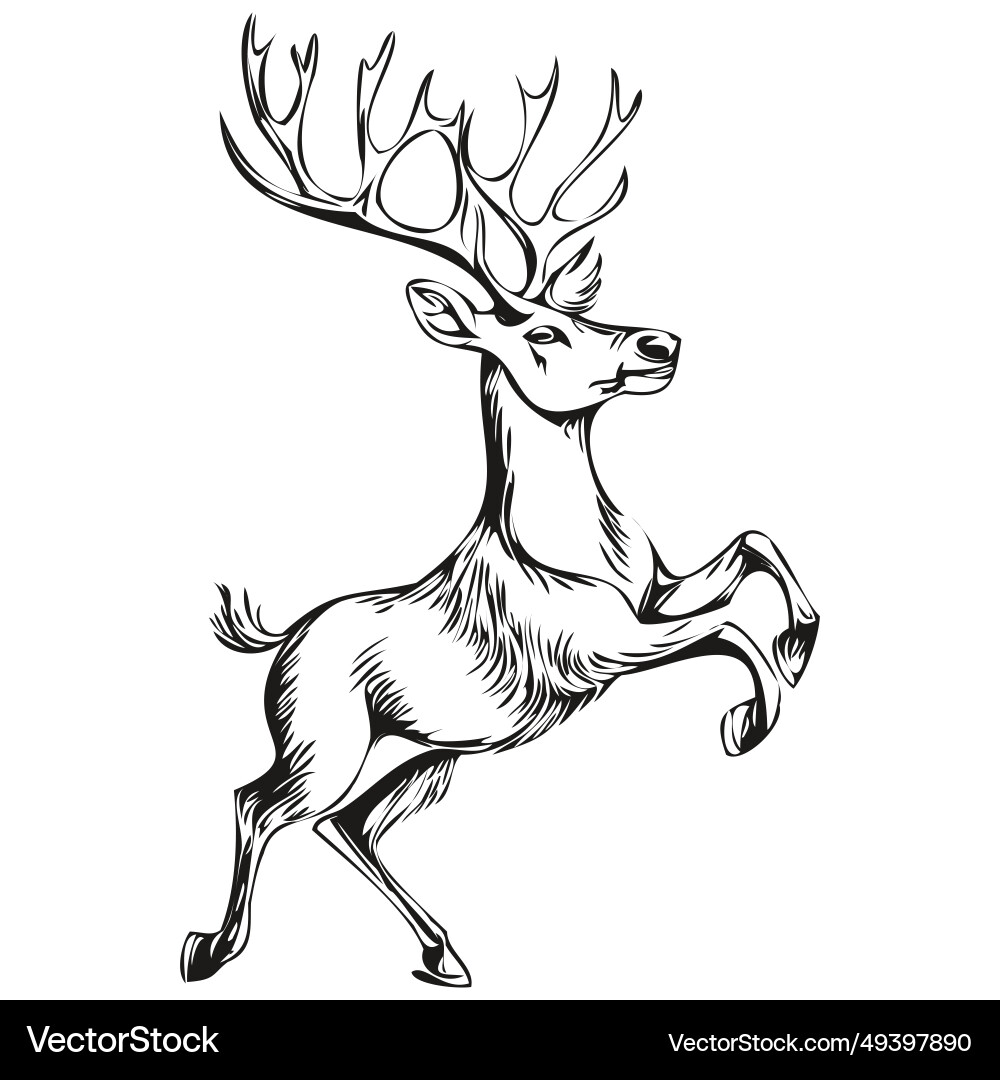 Hand drawn christmas reindeer deer in vintage Hand drawn christmas reindeer deer in vintage vector image