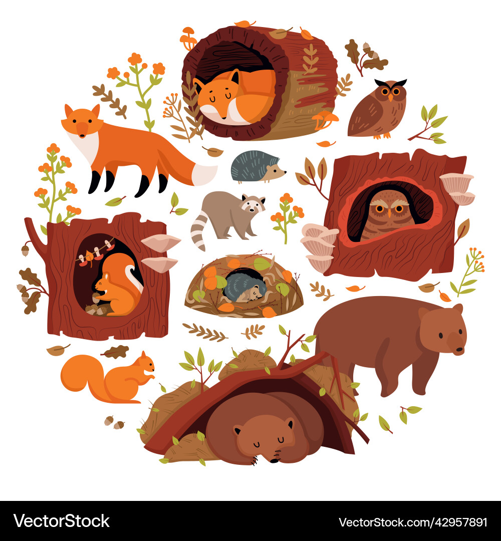 Forest animals round composition vector image