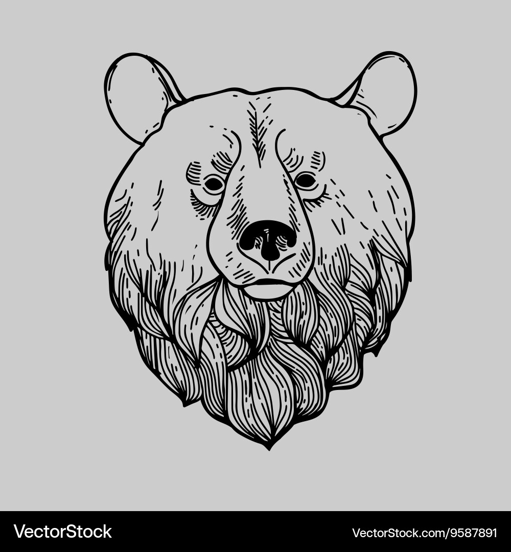 Graphic bear head logo Royalty Free Vector Image