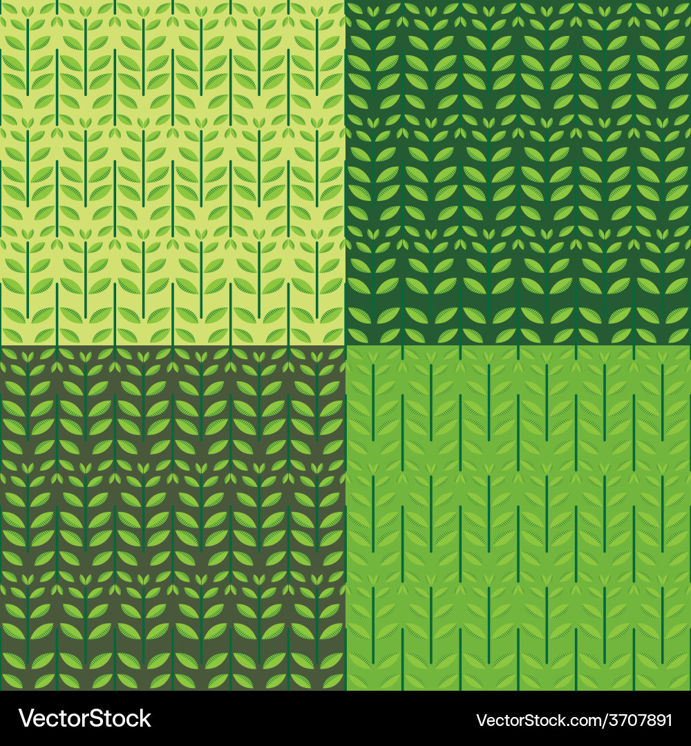 Leaf Pattern Set - Four Variations vector image