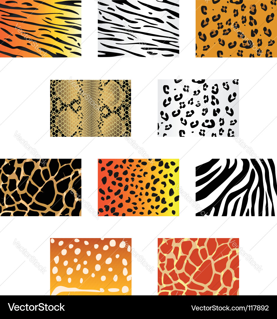 Animal Print Patterns Royalty Free Vector Image