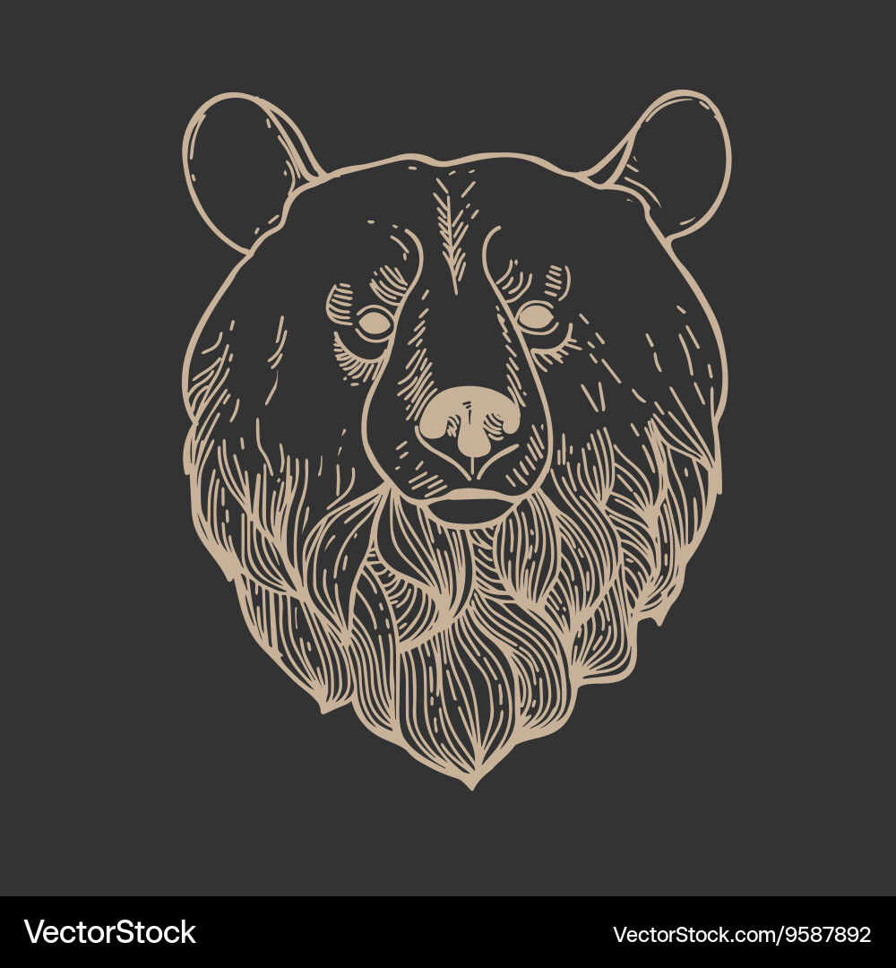 Bear head logo Royalty Free Vector Image - VectorStock