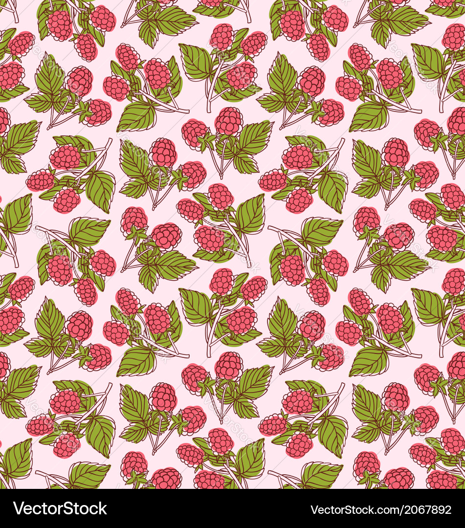 Raspberry Fruit Pattern vector image