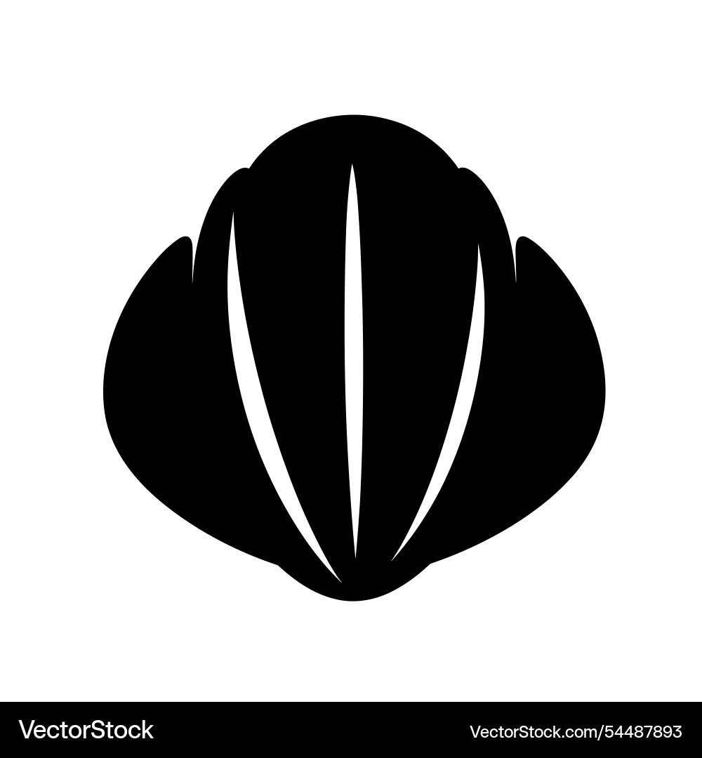 Shell design with smooth curves and lines ideal Vector Image