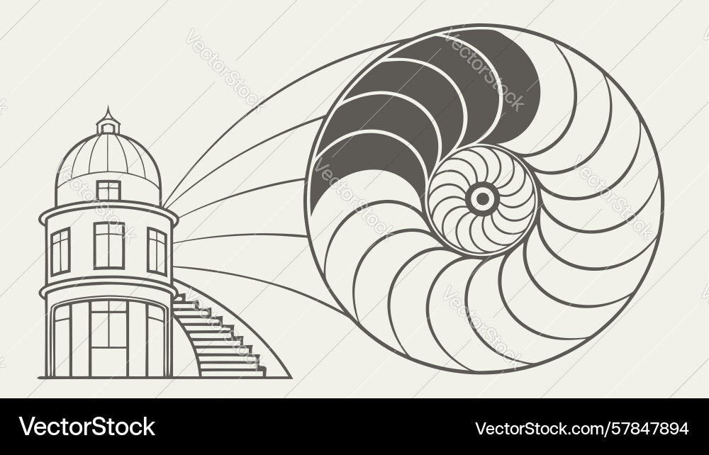 Nautilus shell fibonacci spiral geometric outline vector image