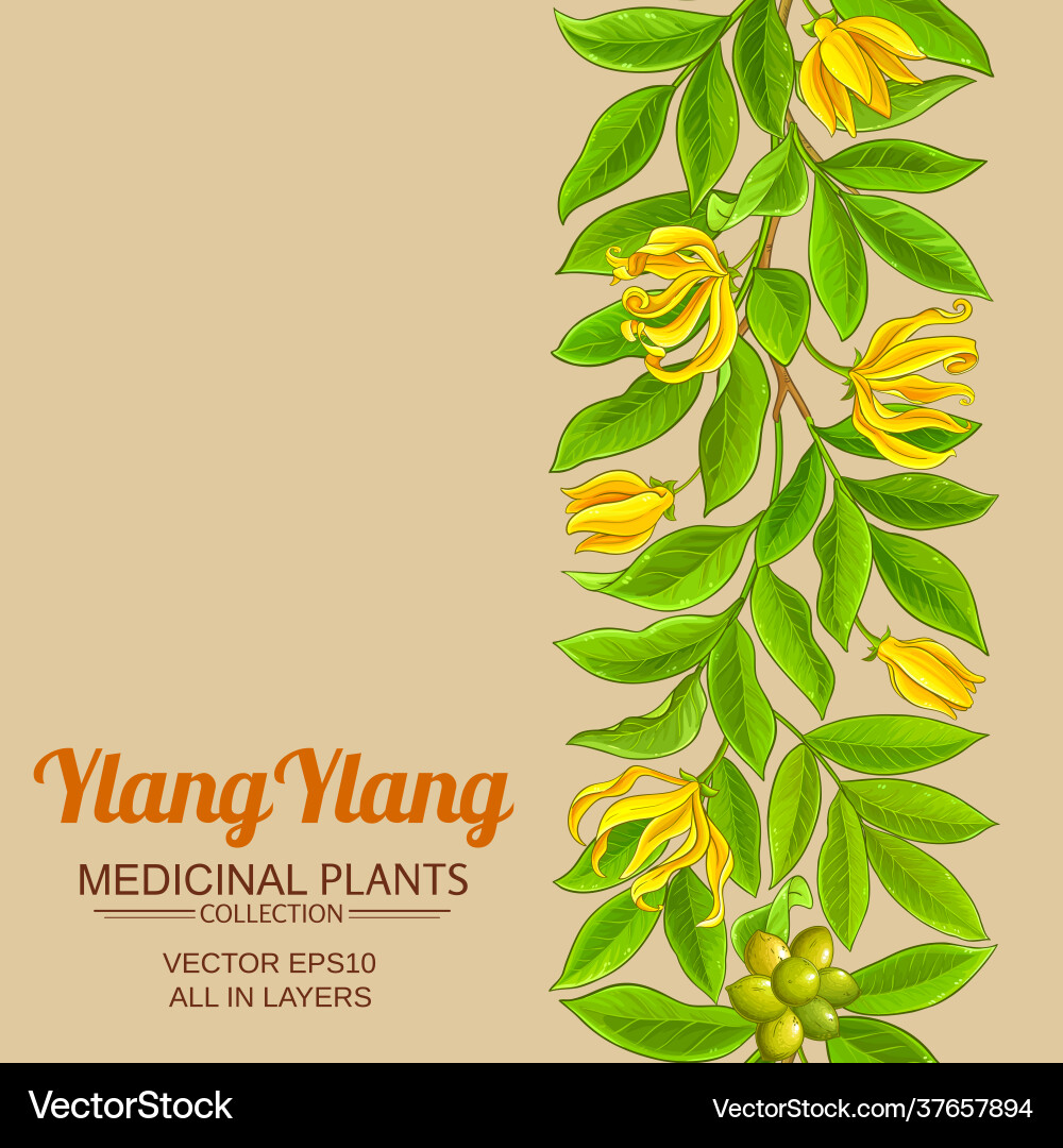 Ylang pattern on color background Ylang pattern on color background vector image