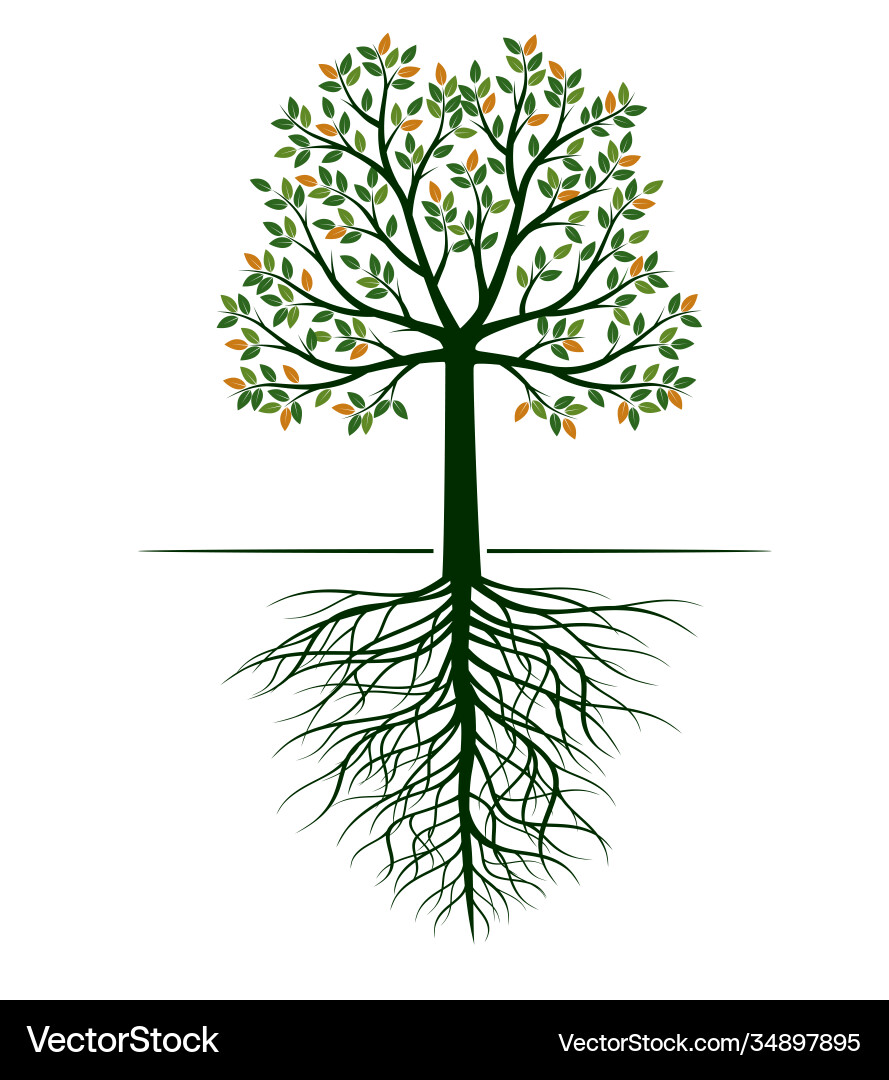 Shape tree with leaves and roots Shape tree with leaves and roots vector image