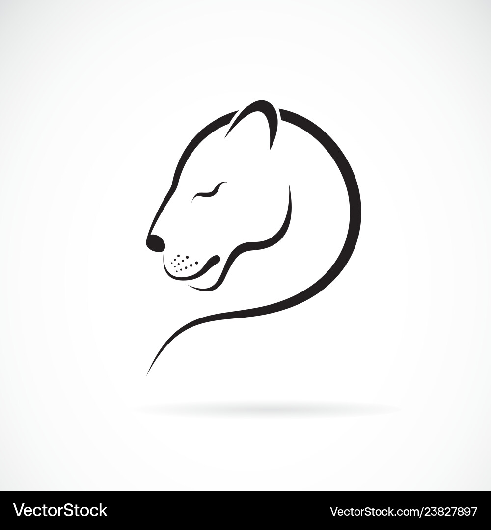 Female lion design on white background wild Female lion design on white background wild vector image