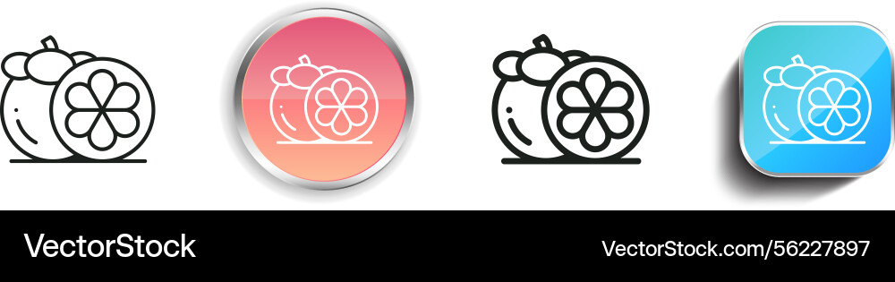Mangosteen icon thin linear regular and button vector image