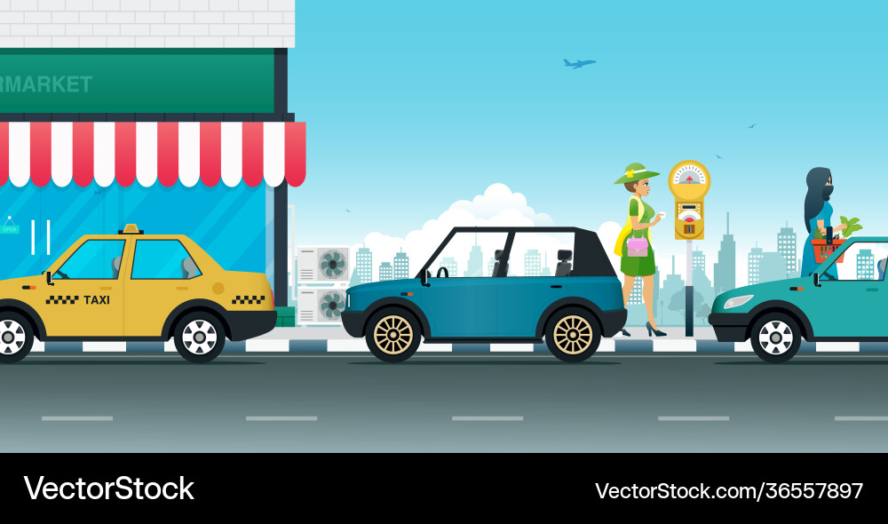 Parking Meter Usage Vector Image