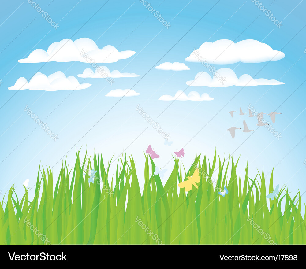 Lush Meadow Landscape Vector Image