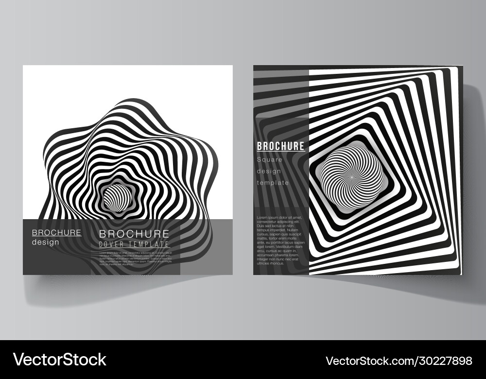 Minimal layout two square format Minimal layout two square format vector image