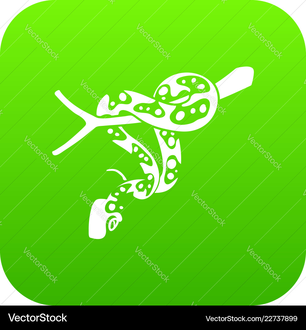 Ball python icon green Ball python icon green vector image