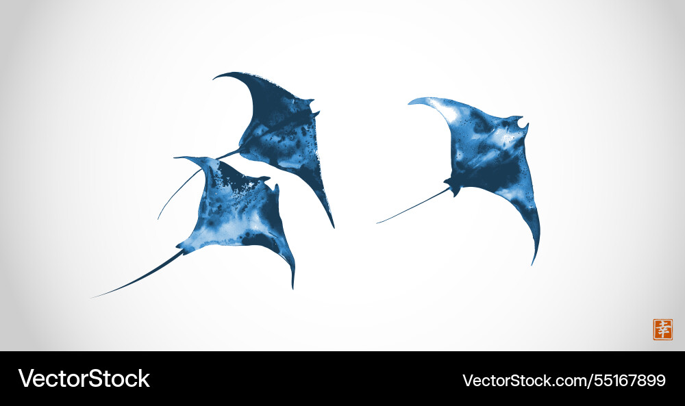 Minimalist ink painting of three blue manta rays Minimalist ink painting of three blue manta rays vector image