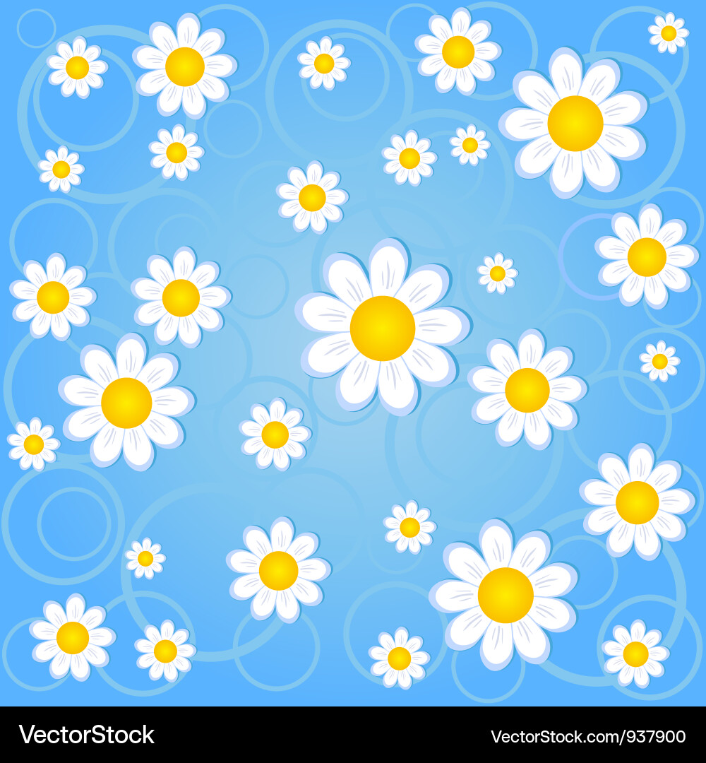 Chamomile Blue Seamless Pattern vector image