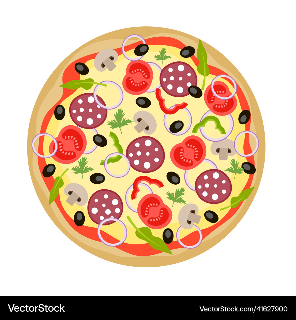 Pizza from top view Pizza from top view vector image