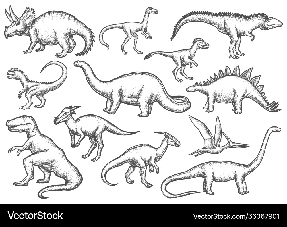 Set isolated dinosaur sketches dino sketching Set isolated dinosaur sketches dino sketching vector image