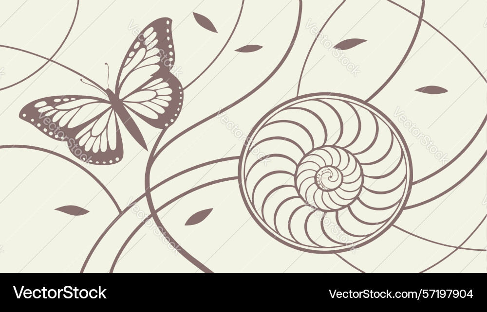 Abstract butterfly with spiral shell and swirls vector image