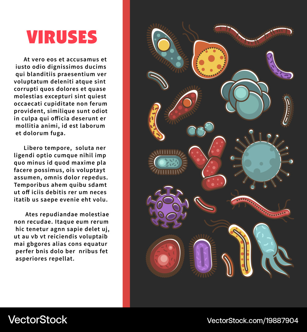 Viruses informative scientific poster with simple Vector Image