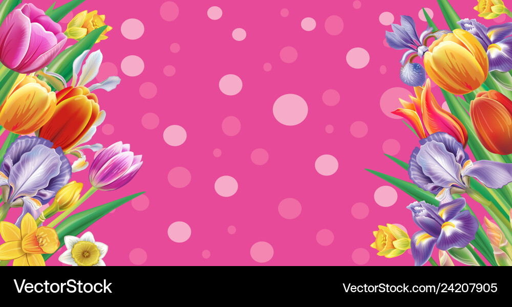 Banner with multicolor spring flowers Banner with multicolor spring flowers Vector Image