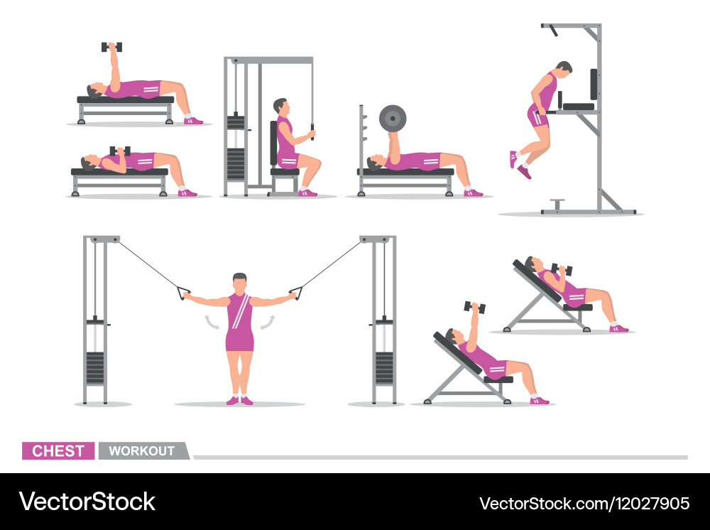 Chest set gym sale