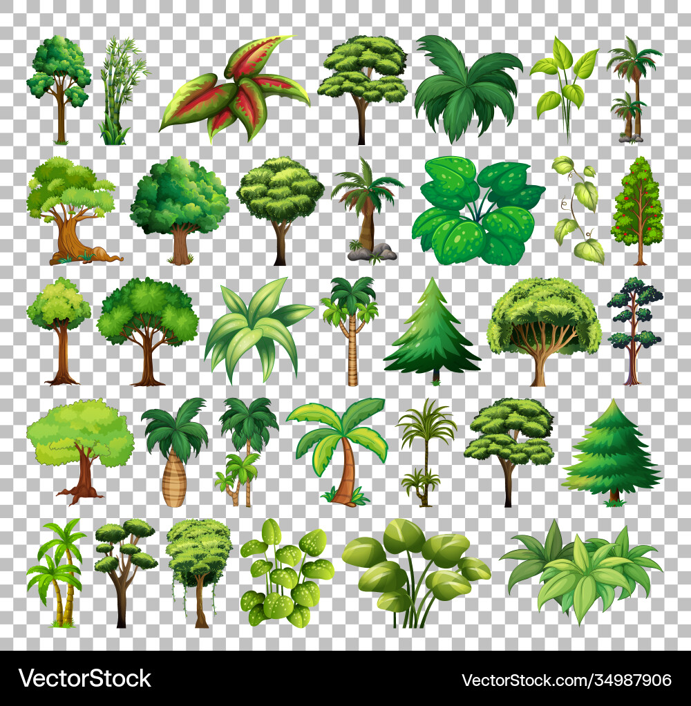 Set tree on transparent background vector image