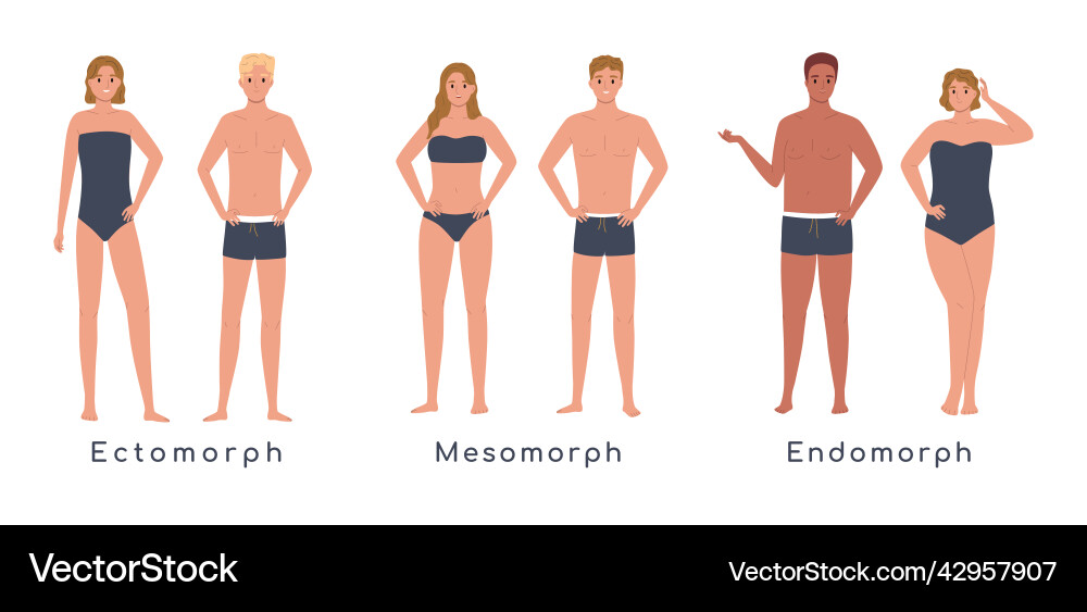 Body types flat set Body types flat set vector image