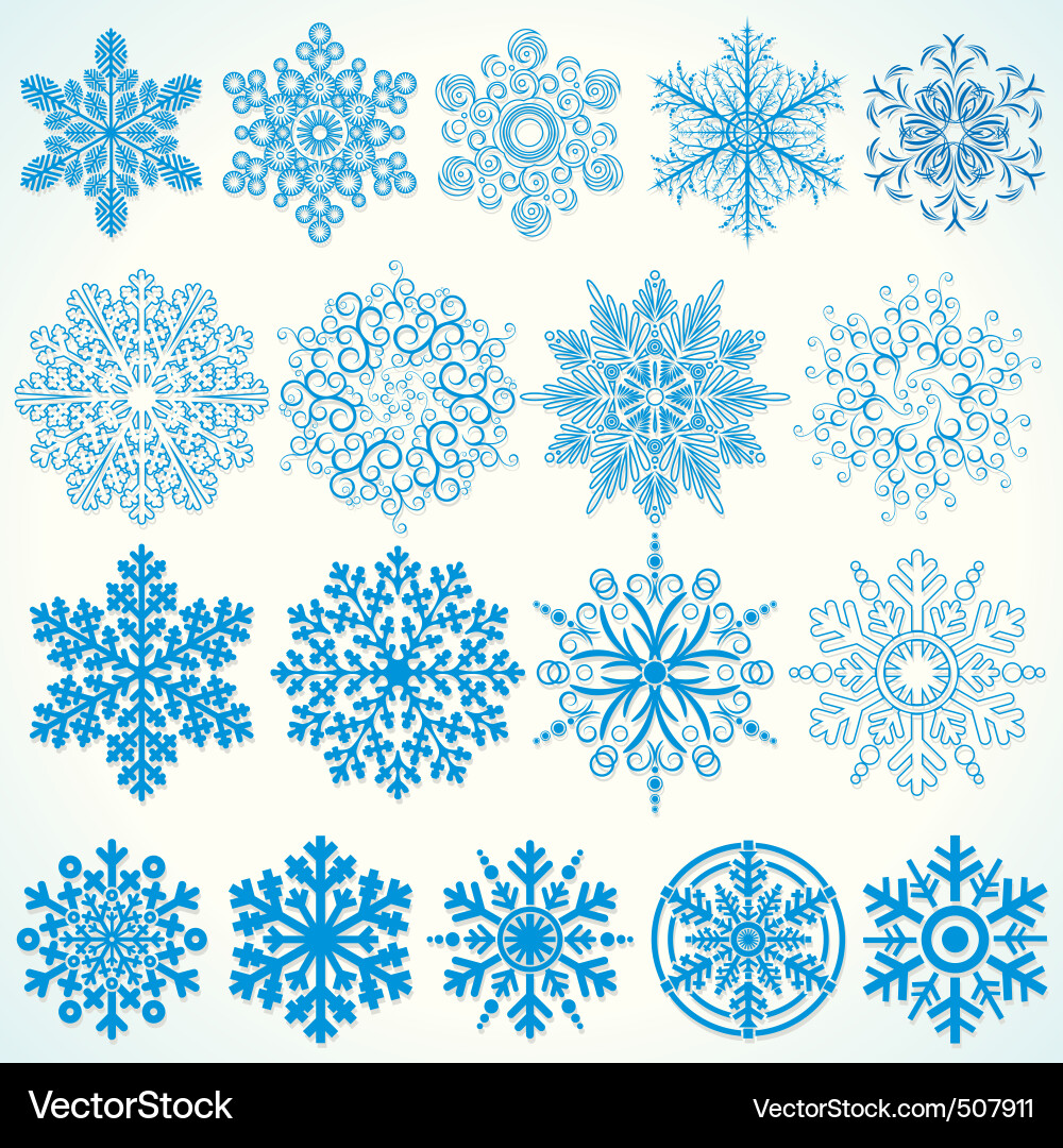 Elegant Winter Snowflakes Vector Image
