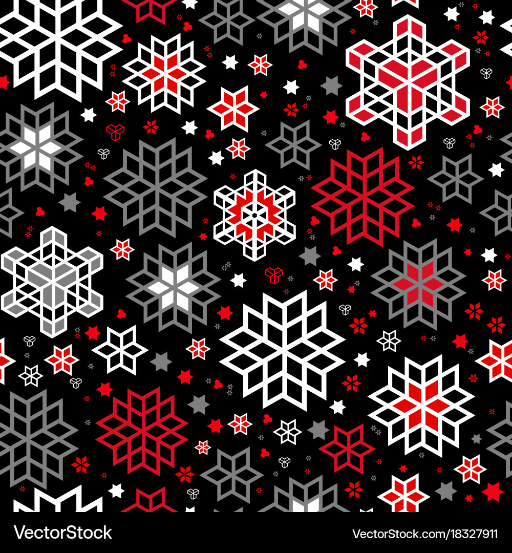 Winter Snowflake Pattern vector image