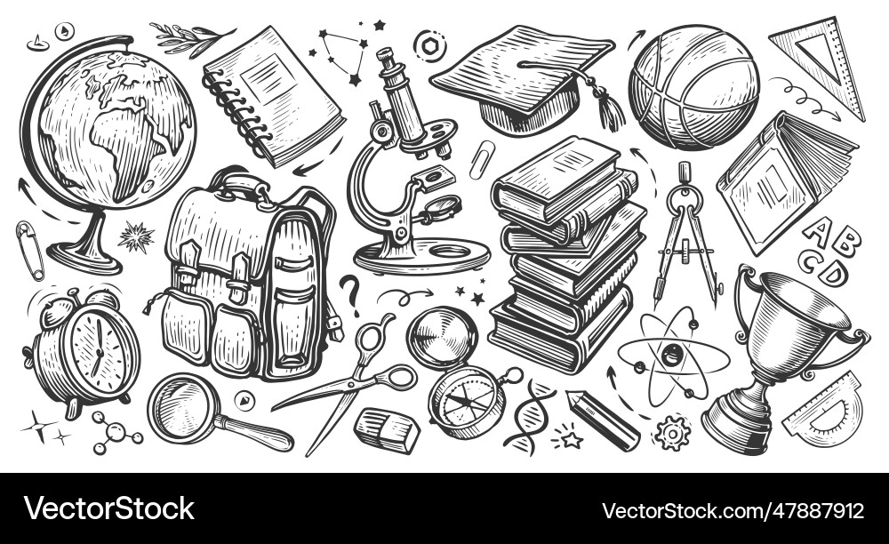 School concept collection of education items School concept collection of education items vector image