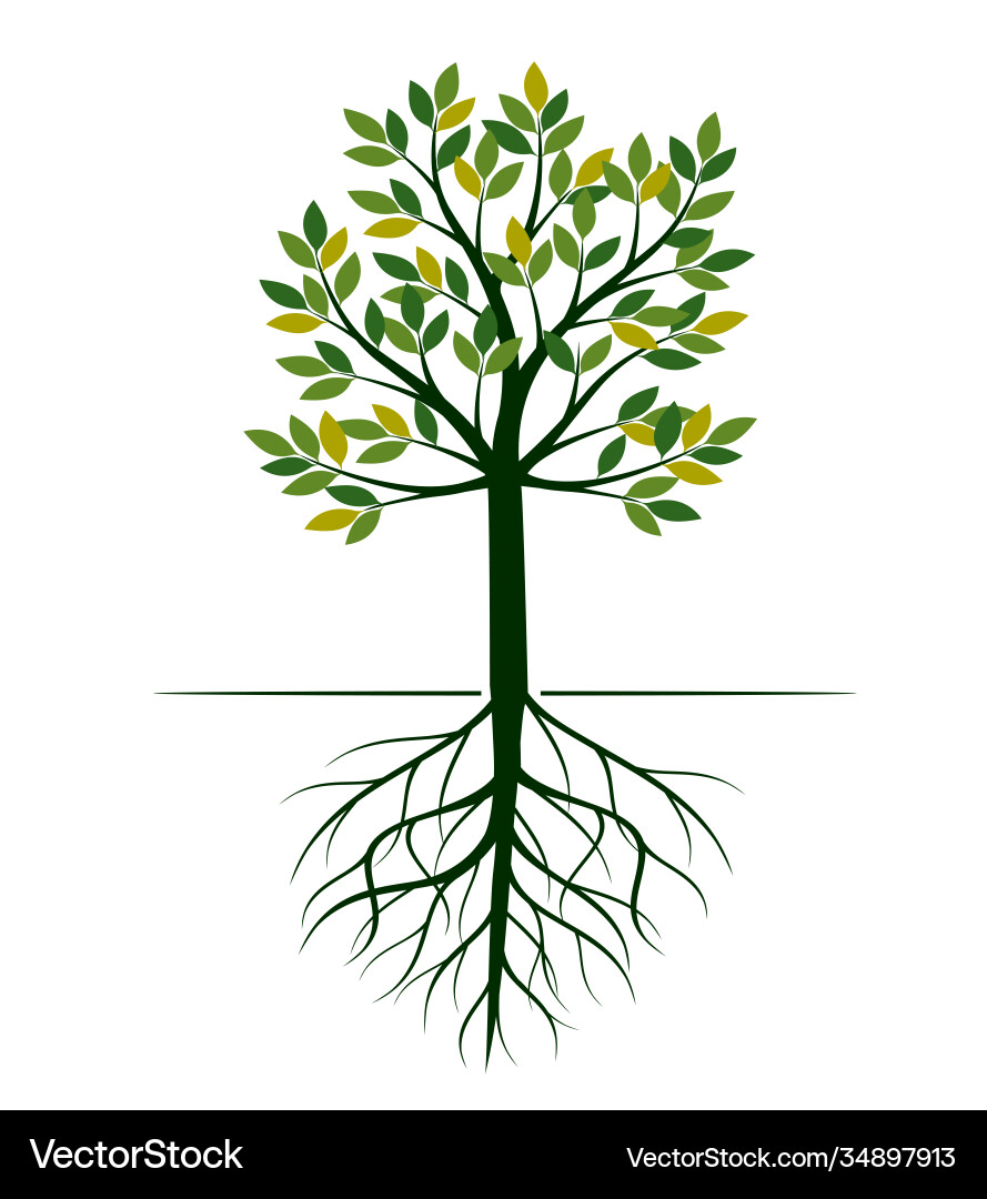Shape tree with leaves and roots Shape tree with leaves and roots vector image
