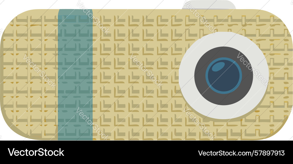 Vintage pattern camera icon with unique texture Vector Image