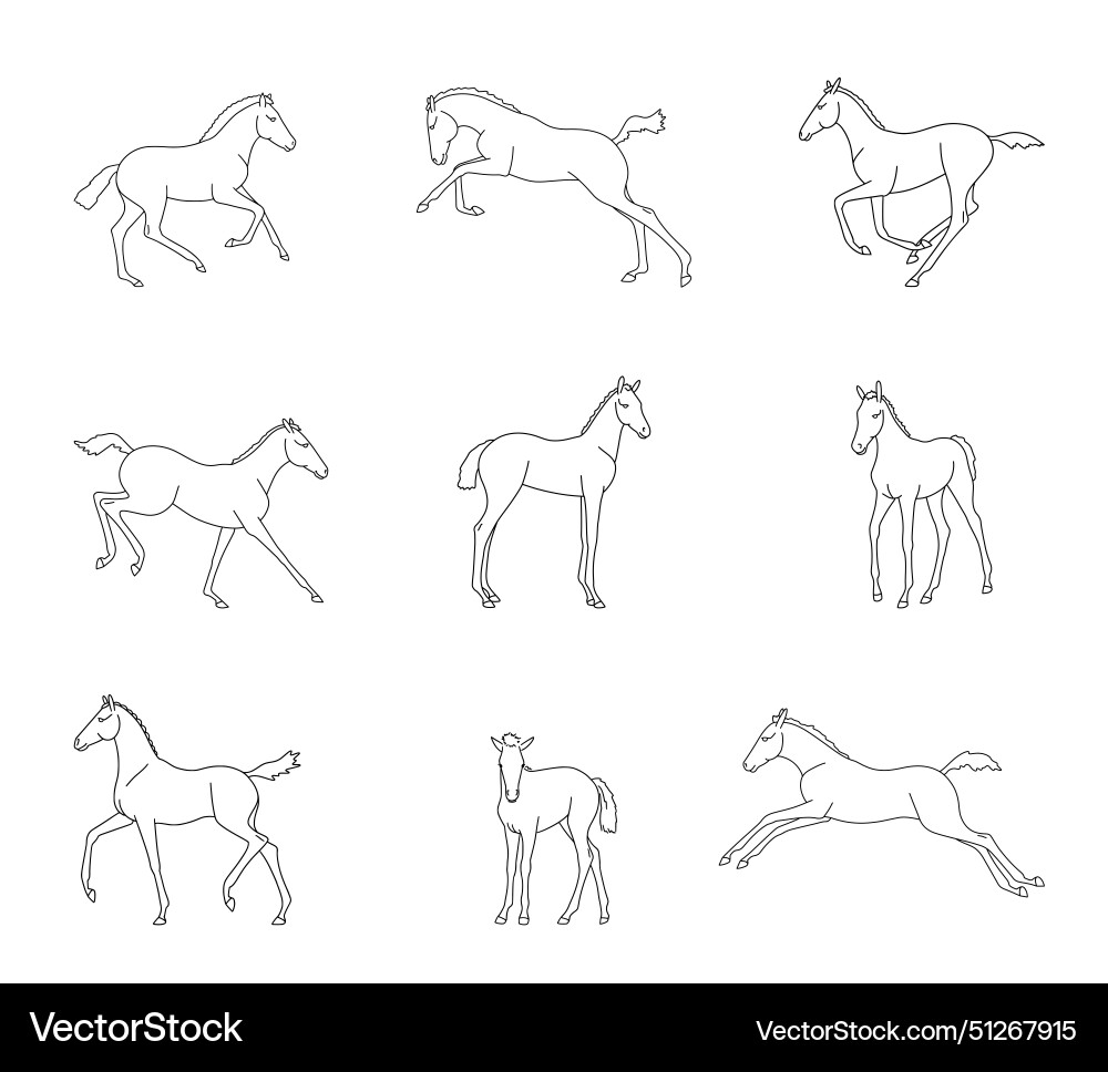 Collection of fools different phases movement Collection of fools different phases movement Vector Image