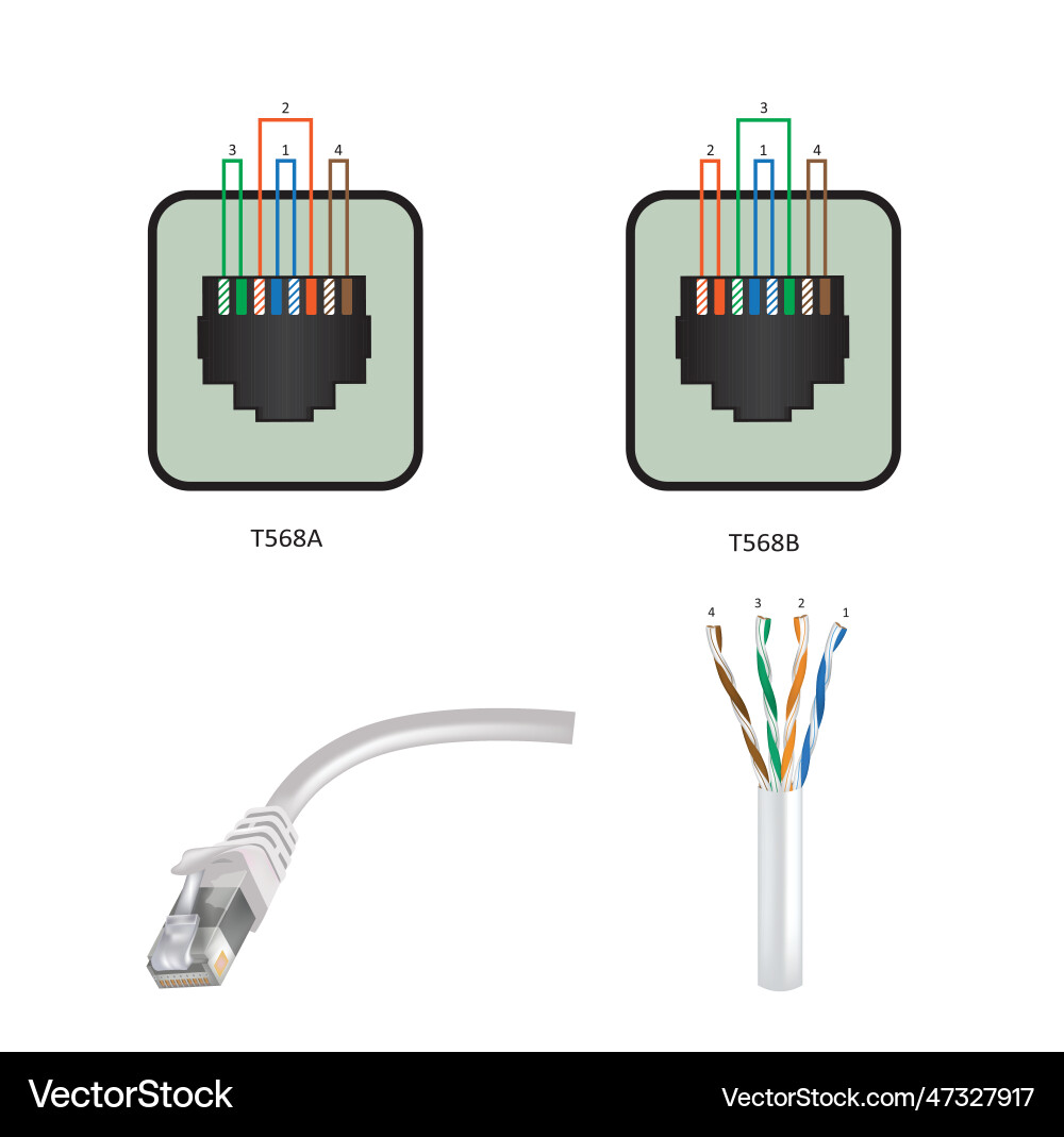 Utp ethernet cabling standards Vector Image