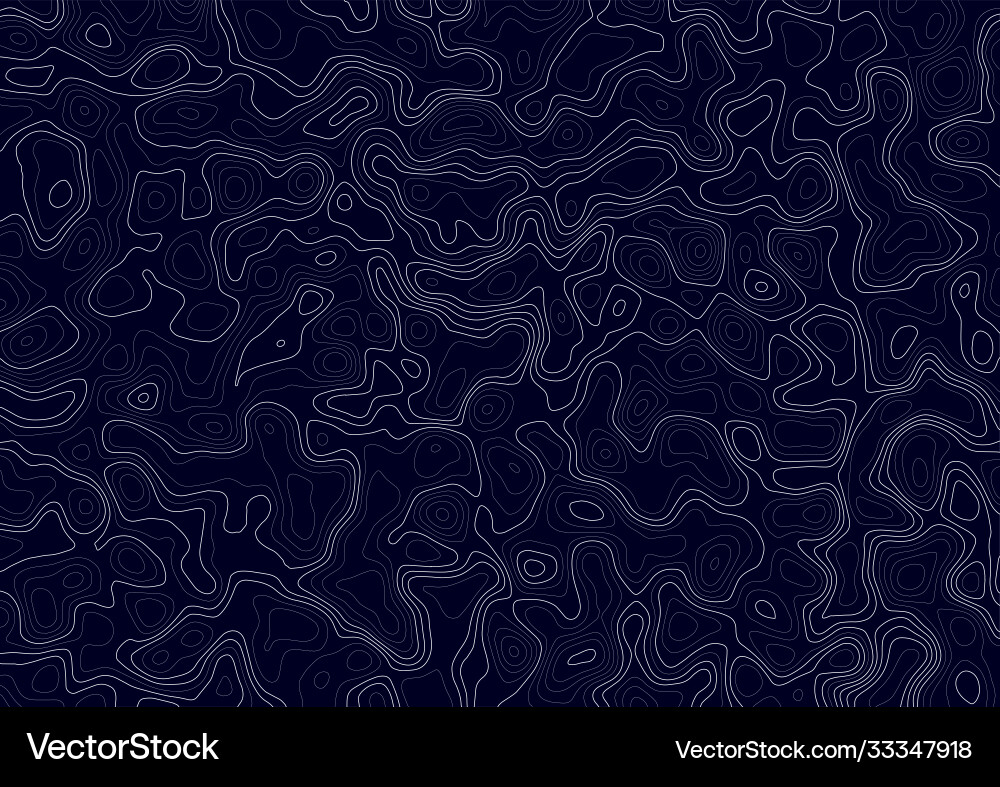 Abstract Topographic Contours Vector Image