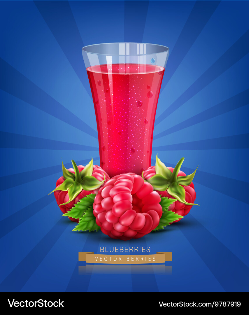 Raspberry Juice Splash vector image