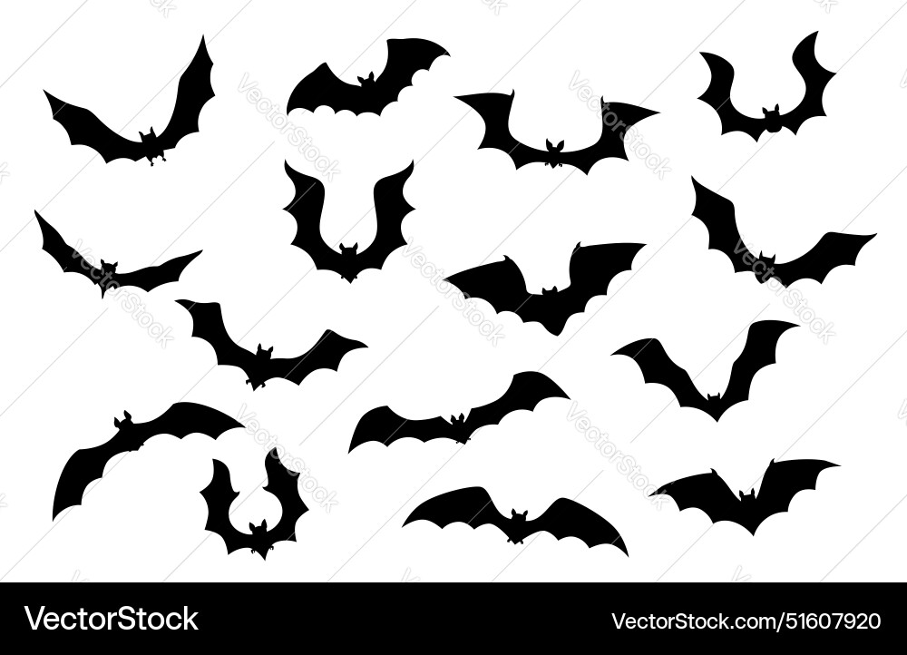 Halloween Bat Silhouettes - Night vector image