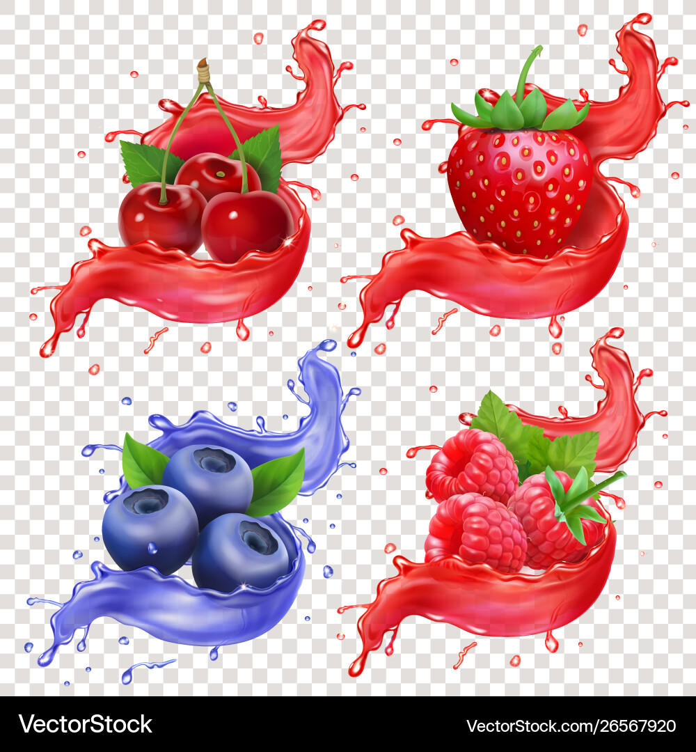Realistische Beeren Saftspritzer Set Realistische Beeren Saftspritzer Set vektorbild
