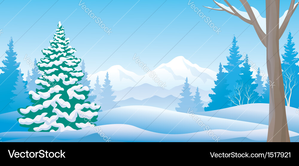Winter Forest Landscape vector image