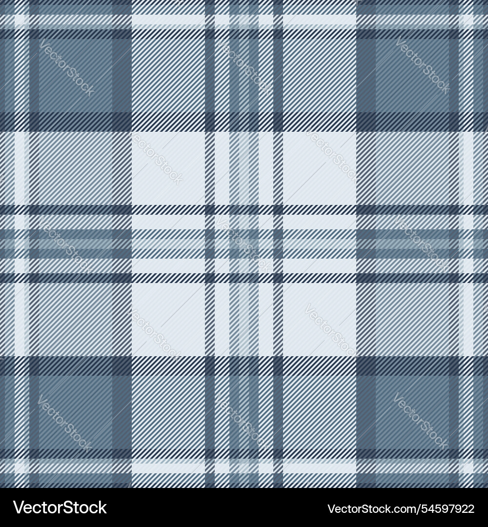 Check textile pattern of fabric texture Vector Image